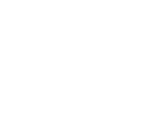 Op Maat driehoek WelkomTOM Trainingen op Maat Groningen Nederland